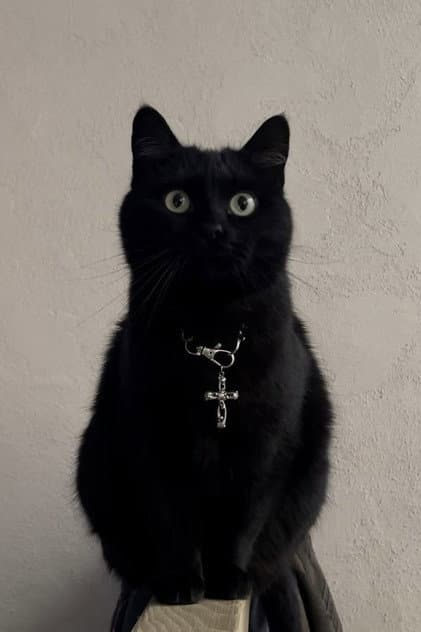 Jonsi