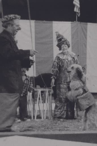 Circus