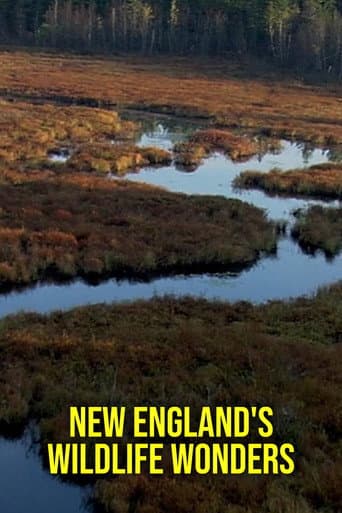New Englands vidunderlige dyreliv