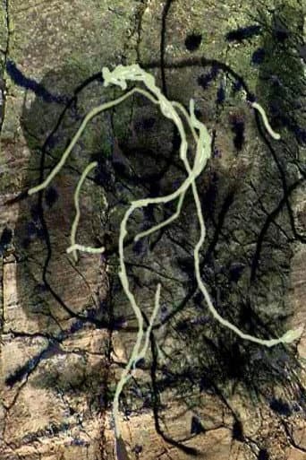 Rivière au tonnerre