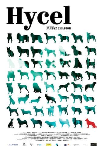 The Dogcatcher