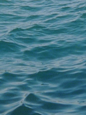 Water Diary