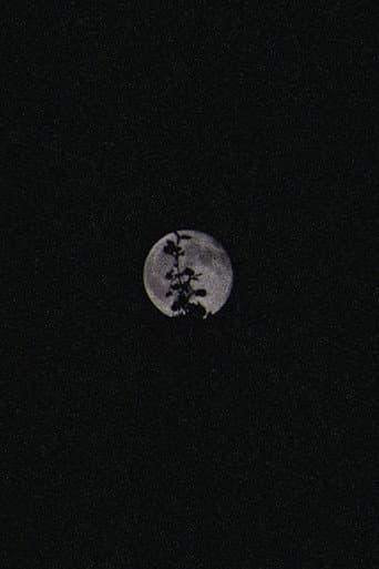 Lunar Visions II