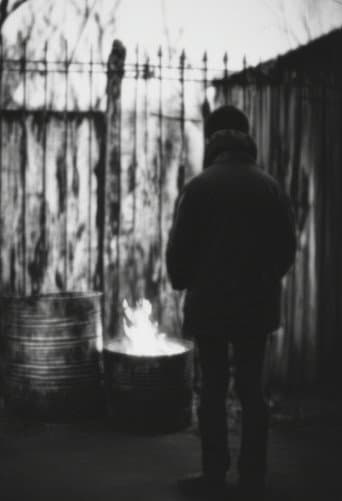 Life in the Shed