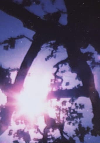 Light Point