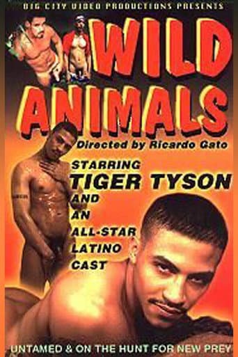 Wild Animals