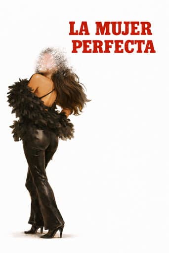 The Perfect Woman