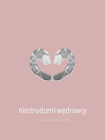 Niestrudzeni wędrowcy