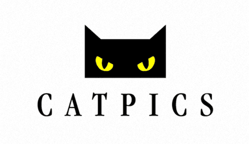 Catpics AG