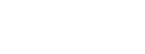 Go Faster Stripe