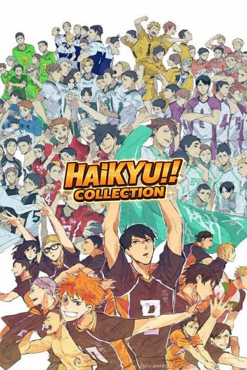 Haikyuu!! OVA Collection