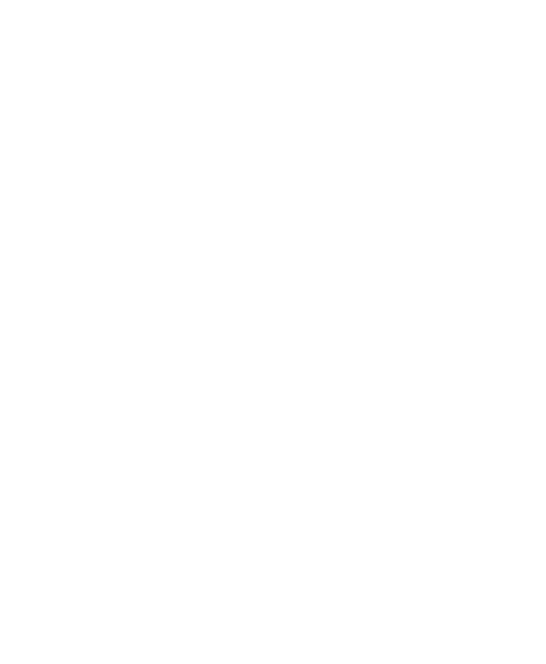 Aardman Academy