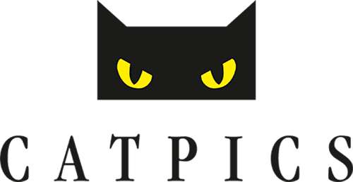 Catpics