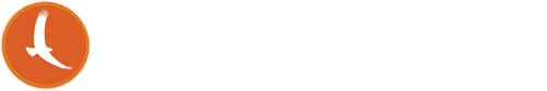 4PM Media