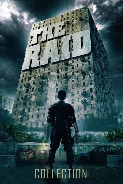 The Raid Collection
