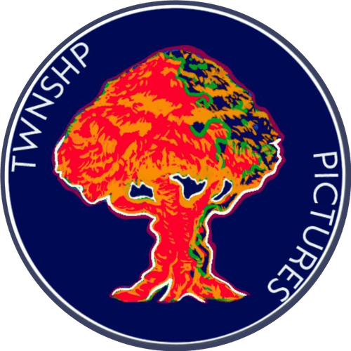 Twnshp Pictures