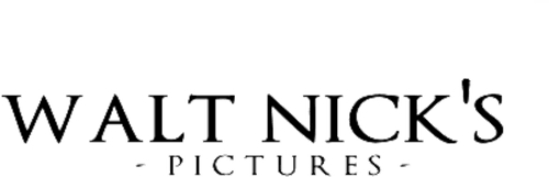 Walt Nick's Pictures
