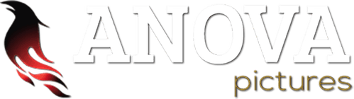 Anova Pictures