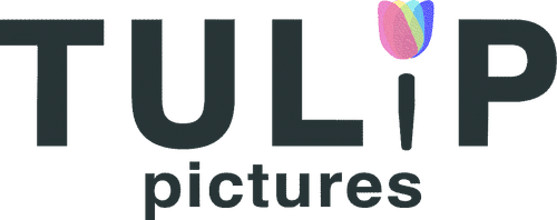 Tulip Pictures