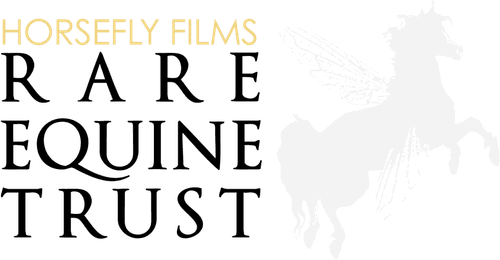 Horsefly Films Rare Equine Trust