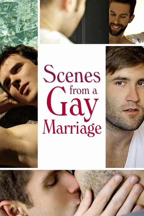 Scenes from a Gay Marriage Collection