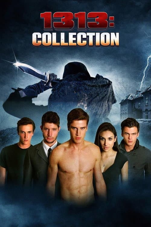 1313 Collection