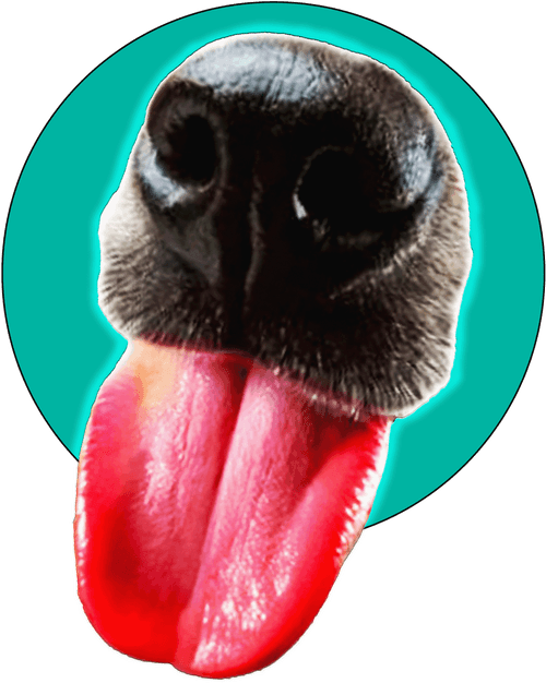 Dog Unlimited