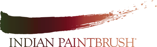 Indian Paintbrush
