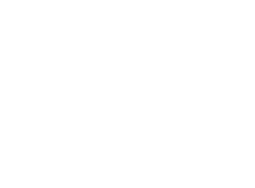 Silk Belt